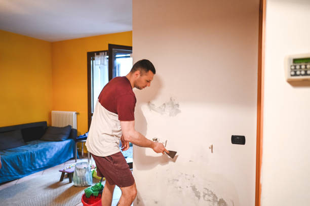 Best Emergency Mold Removal  in Bangor, PA